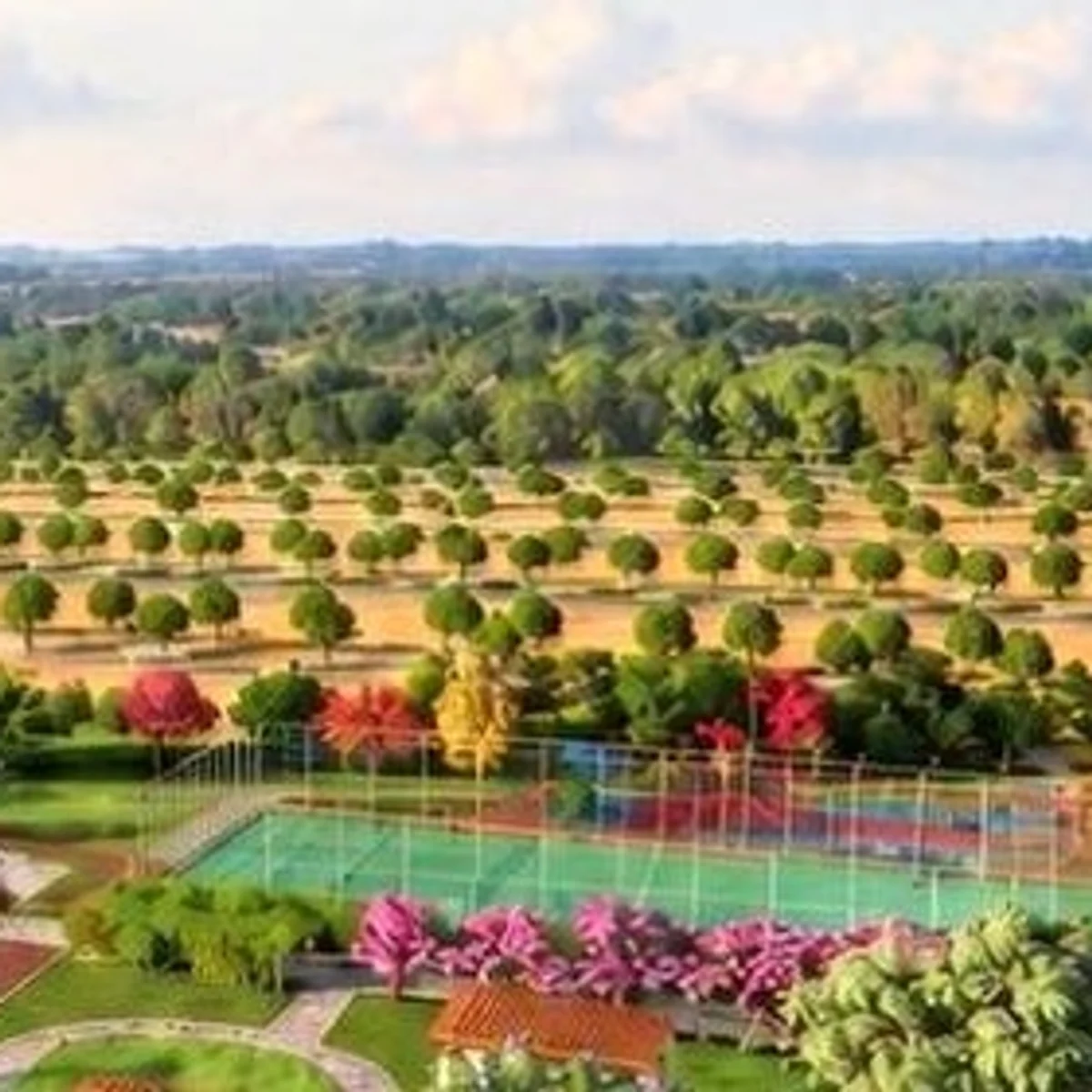 Open ground beyond the garden, plantation-style trees running to the horizon Open ground beyond the garden, plantation-style trees running to the horizon